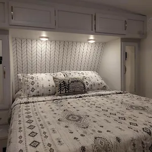 The Torres' Camper Experience! Tampa